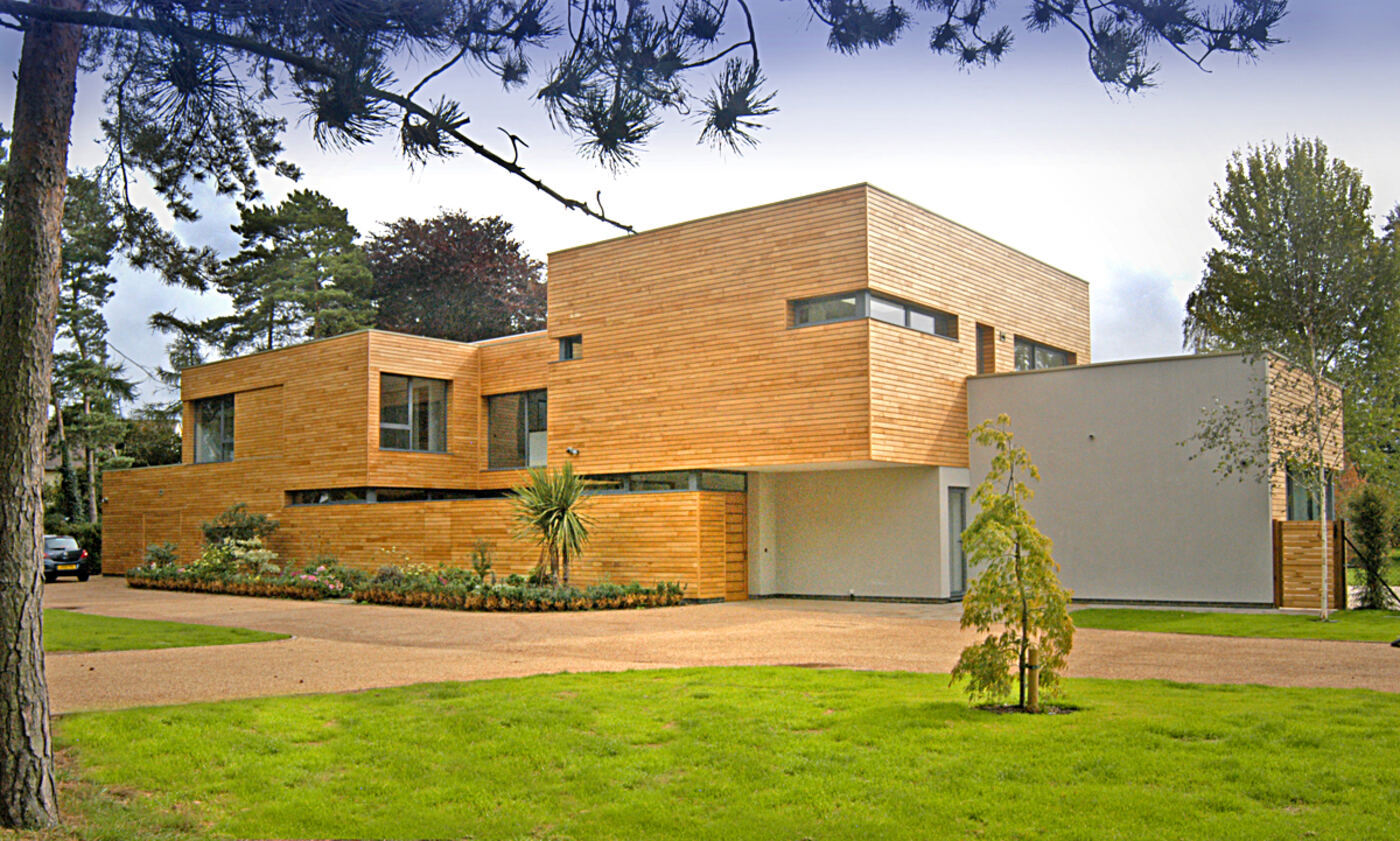 Larch-clad modern house behind a pine tree
